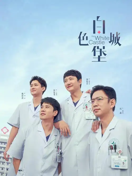 暗战迷局电视剧封面