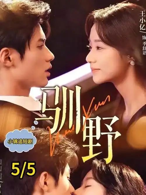 法医秦明电视剧封面